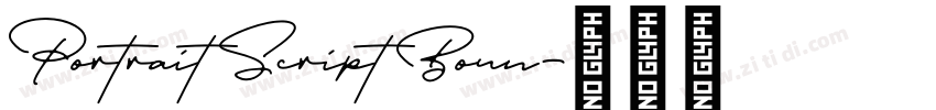 Portrait Script Boun字体转换
